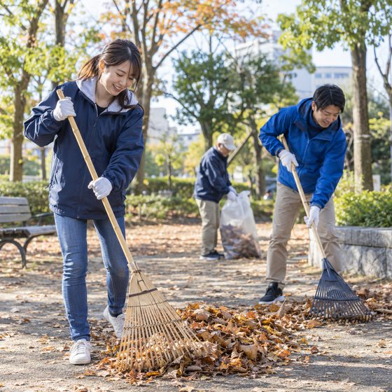 ボランティアで落ち葉清掃